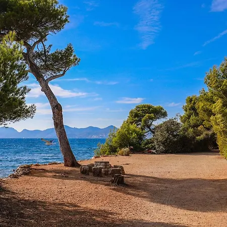 2 Steps From The Center Beachs And The Palais